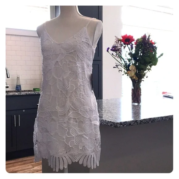 Express white Lace Trapeze Dress - Picture 3 of 7